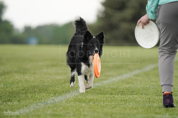 RielVisuals_20240526_095425_SJR01311