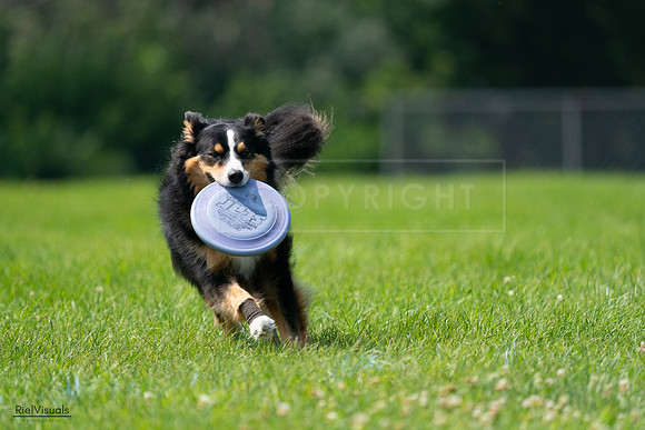 RielVisuals_20240728_114720_SJR01956