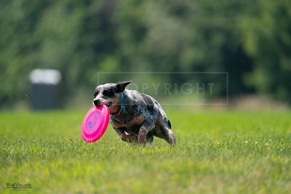 RielVisuals_20240727_120228_SJR04561