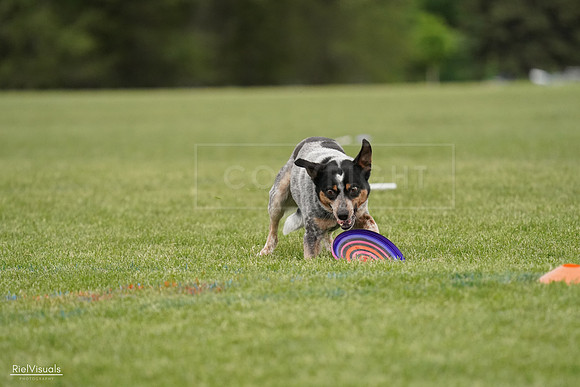 RielVisuals_20240526_132212_SJR07601