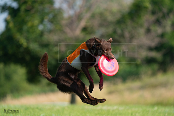 RielVisuals_20240727_092520_SJR06291