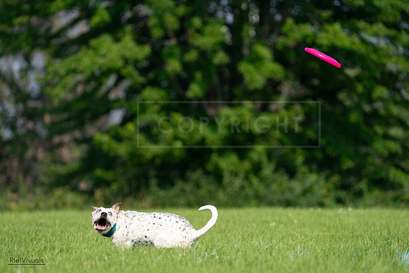 RielVisuals_20240727_095437_SJR08016