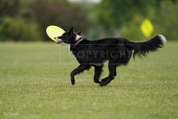 RielVisuals_20240526_132529_SJR07755