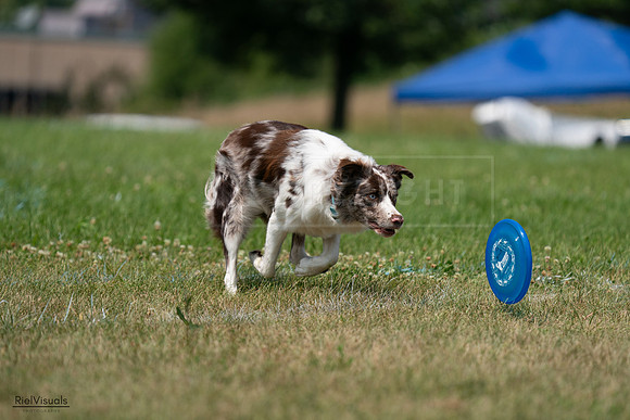 RielVisuals_20240727_133710_SJR07857