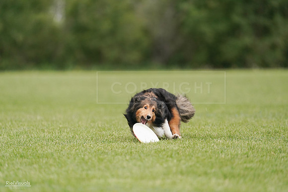 RielVisuals_20240527_140907_SJR01590