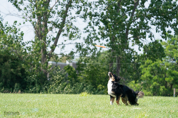 RielVisuals_20240728_143303_SJR08528