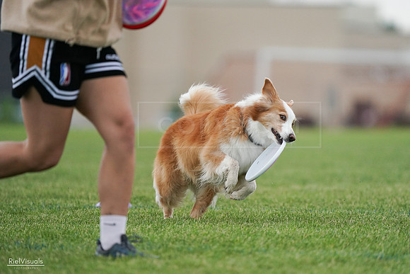 RielVisuals_20240526_101854_SJR09016