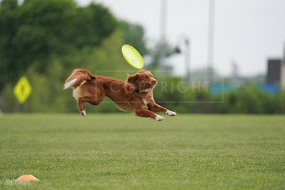 RielVisuals_20240526_093131_SJR00290