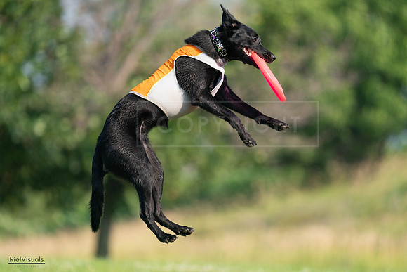 RielVisuals_20240727_093307_SJR06757