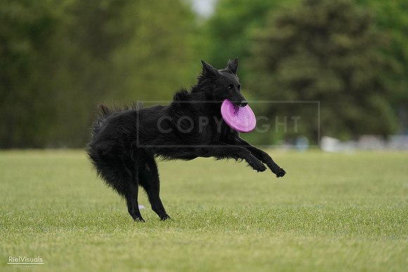 RielVisuals_20240526_133801_SJR08398
