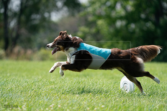 RielVisuals_20240728_144726_SJR09158