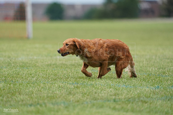 RielVisuals_20240527_142114_SJR02460