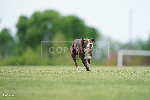 RielVisuals_20240525_162545_SJR04408