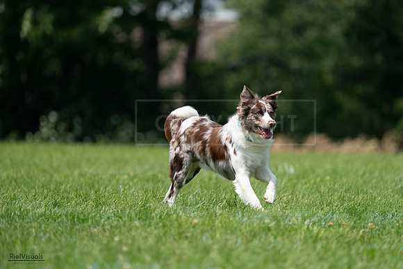 RielVisuals_20240727_133732_SJR07898
