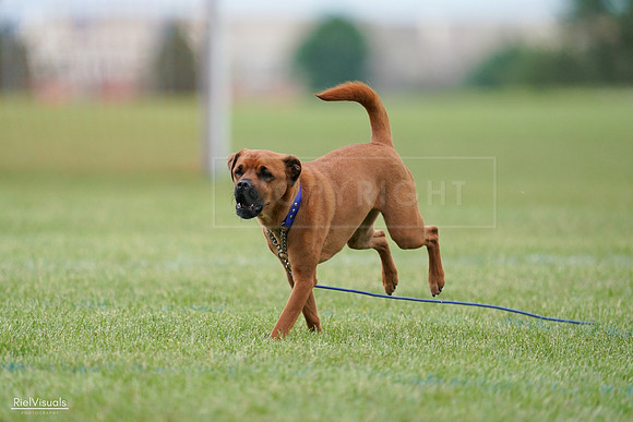 RielVisuals_20240527_141920_SJR02332