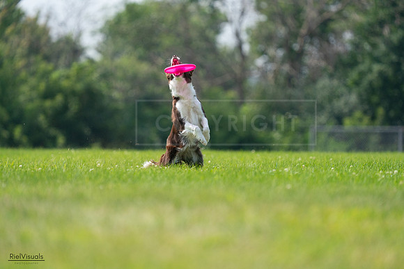 RielVisuals_20240727_115618_SJR04325