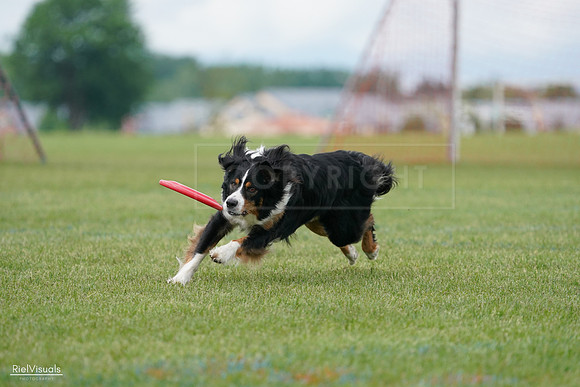 RielVisuals_20240527_142424_SJR02650