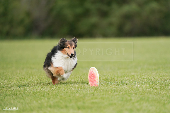 RielVisuals_20240527_140925_SJR01645
