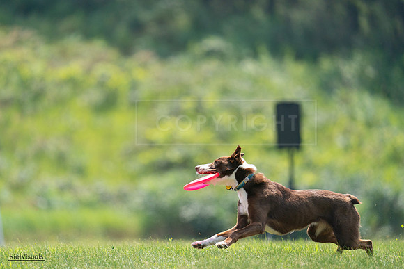 RielVisuals_20240727_122140_SJR05385