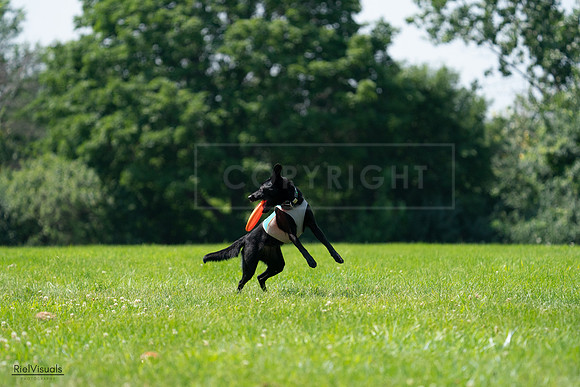 RielVisuals_20240728_114852_SJR02009