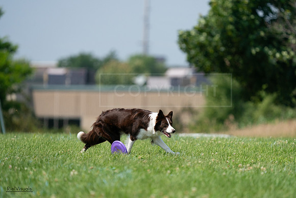 RielVisuals_20240727_140403_SJR09484