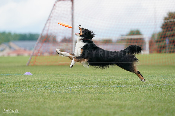 RielVisuals_20240527_142348_SJR02559