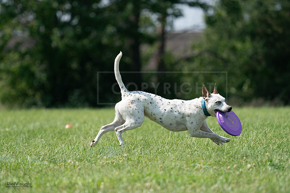 RielVisuals_20240728_144214_SJR08942