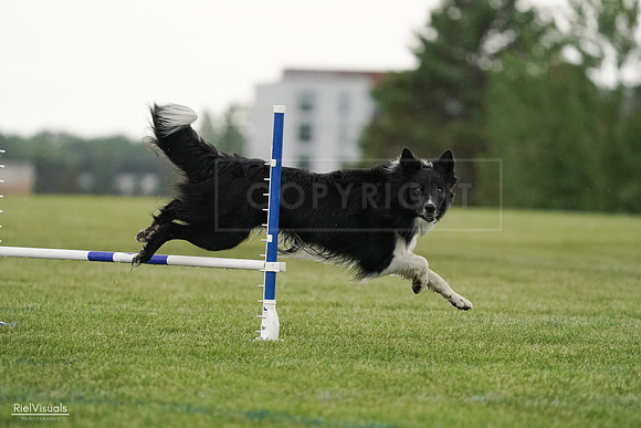 RielVisuals_20240526_095429_SJR01315