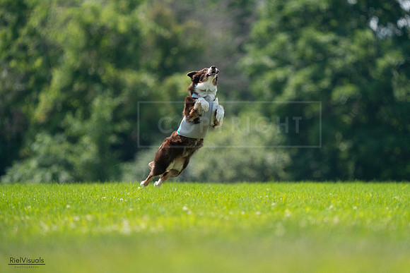 RielVisuals_20240727_130359_SJR06716