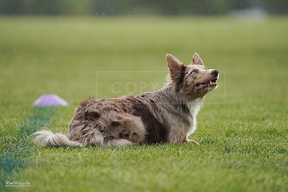 RielVisuals_20240526_092538_SJR09966