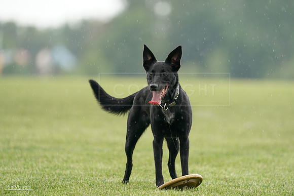 RielVisuals_20240526_092446_SJR09932