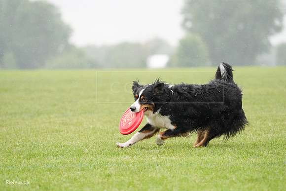 RielVisuals_20240527_104717_SJR01658