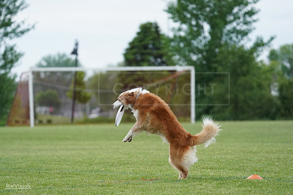 RielVisuals_20240526_101841_SJR09001