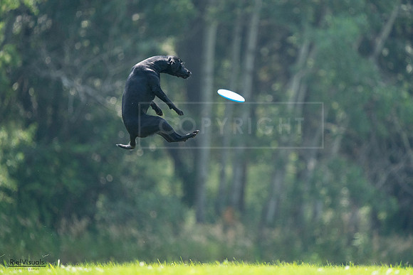 RielVisuals_20240727_122730_SJR05596