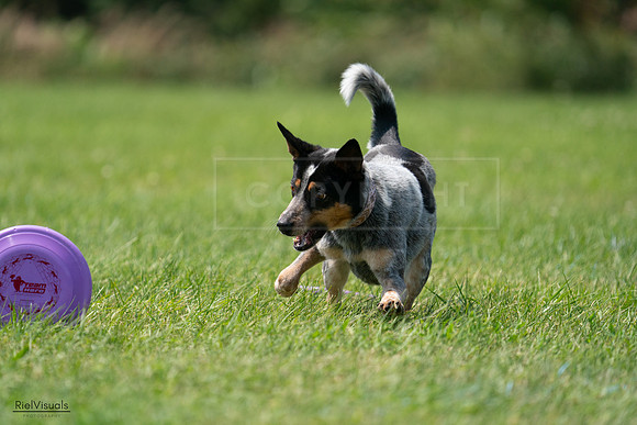 RielVisuals_20240728_132410_SJR06093