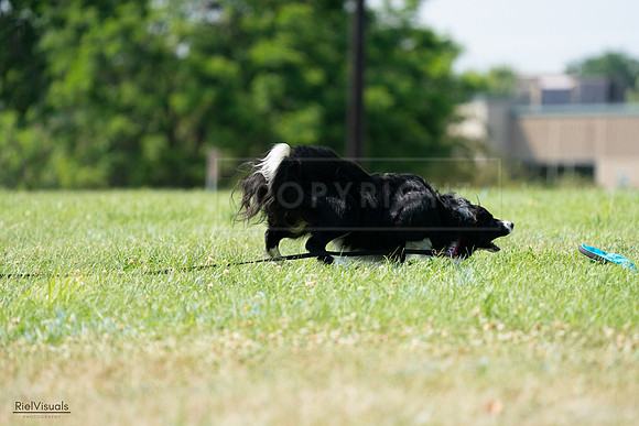 RielVisuals_20240728_152229_SJR00681