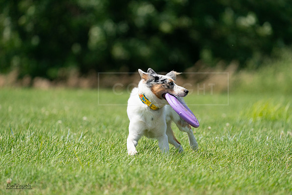 RielVisuals_20240728_130645_SJR05141