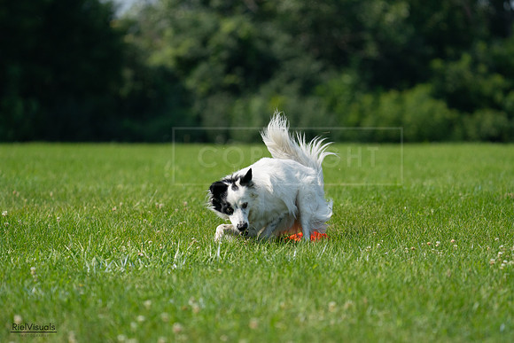 RielVisuals_20240728_102920_SJR08267