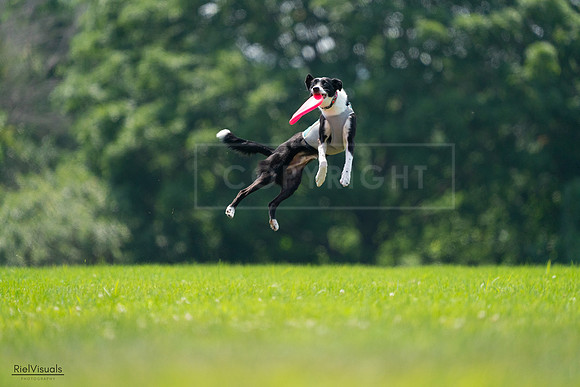 RielVisuals_20240727_130738_SJR06913