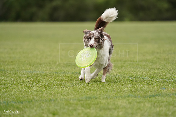 RielVisuals_20240526_132919_SJR07921