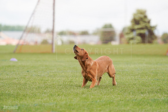 RielVisuals_20240527_141128_SJR01857