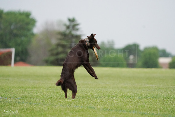 RielVisuals_20240527_090725_SJR05950
