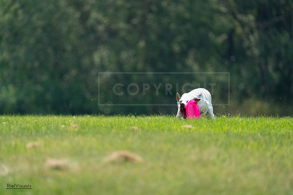 RielVisuals_20240727_120930_SJR04840