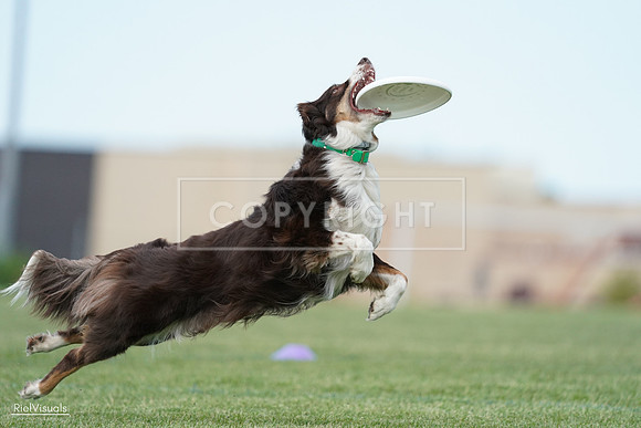RielVisuals_20240525_090359_SJR09509