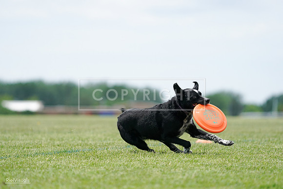 RielVisuals_20240525_124901_SJR01234