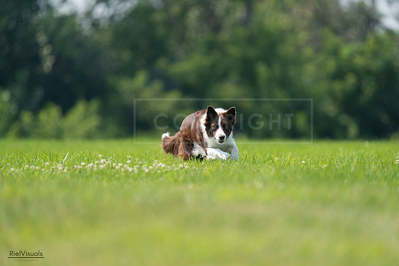 RielVisuals_20240727_115603_SJR04309