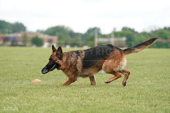 RielVisuals_20240527_140734_SJR01481