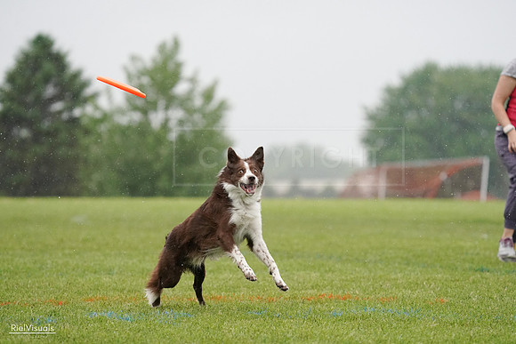 RielVisuals_20240527_104358_SJR01398