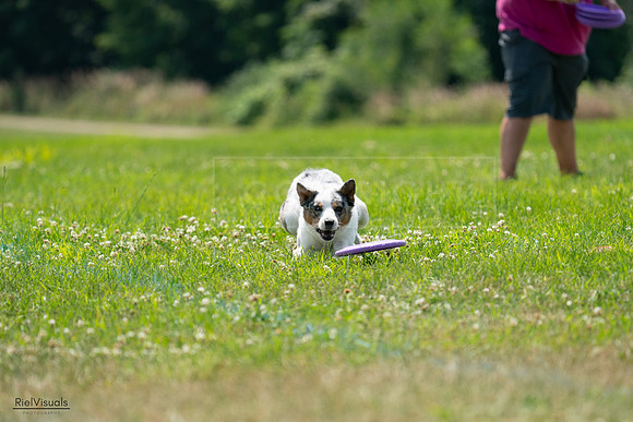 RielVisuals_20240728_130559_SJR05058