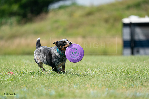 RielVisuals_20240728_145217_SJR09424